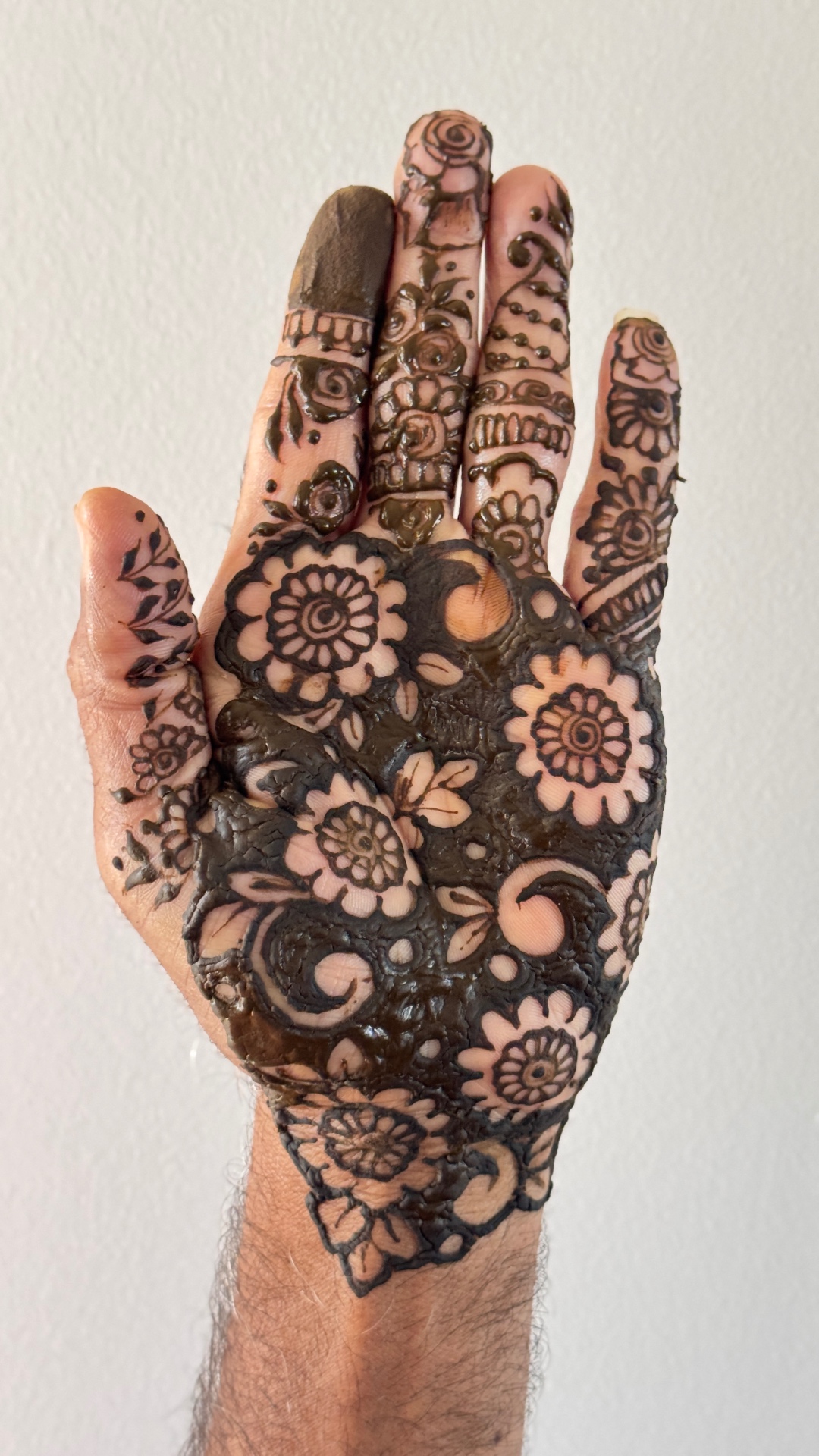 Complete hand henna design with dark stain and intricate patterns