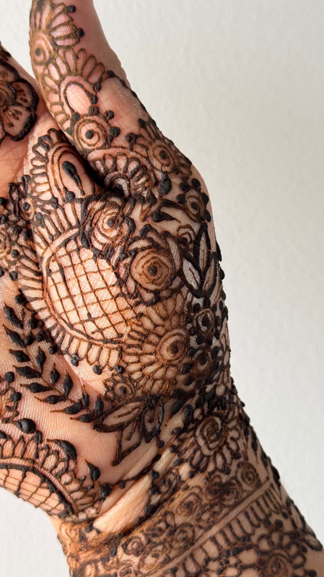 Stunning arm henna with mesh patterns and intricate detailing